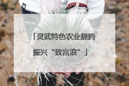 灵武特色农业翻腾振兴“致富浪”