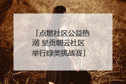 点燃社区公益热潮 呈贡朝云社区举行绿美挑战赛