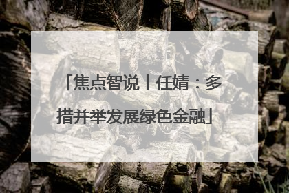 焦点智说丨任婧：多措并举发展绿色金融