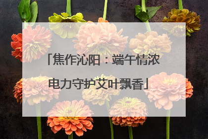 焦作沁阳：端午情浓 电力守护艾叶飘香