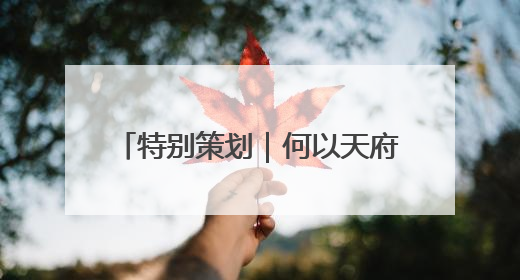 特别策划｜何以天府，我们用粮食作答