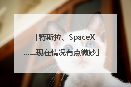 特斯拉、SpaceX……现在情况有点微妙