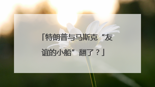 特朗普与马斯克“友谊的小船”翻了？