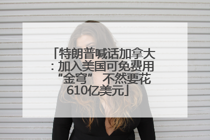 特朗普喊话加拿大：加入美国可免费用“金穹” 不然要花610亿美元