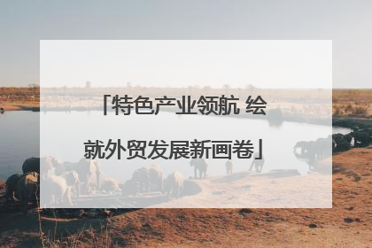 特色产业领航 绘就外贸发展新画卷