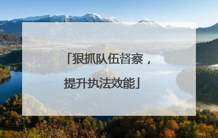 狠抓队伍督察，提升执法效能