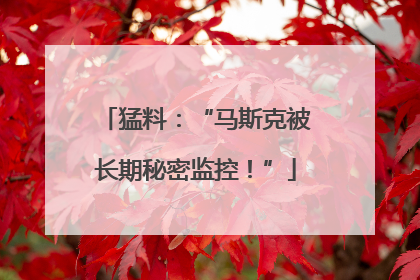 猛料：“马斯克被长期秘密监控！”