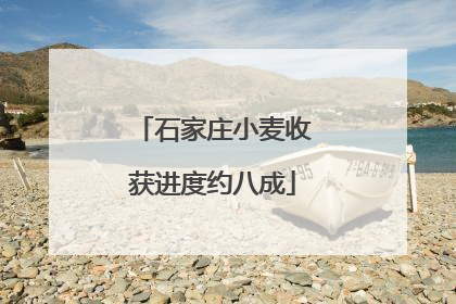 石家庄小麦收获进度约八成