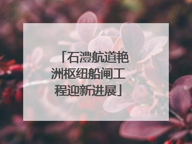 石澧航道艳洲枢纽船闸工程迎新进展