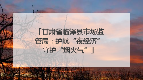 甘肃省临泽县市场监管局：护航“夜经济” 守护“烟火气”