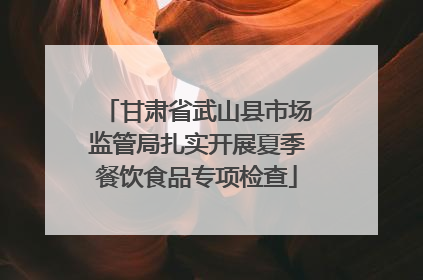 甘肃省武山县市场监管局扎实开展夏季餐饮食品专项检查