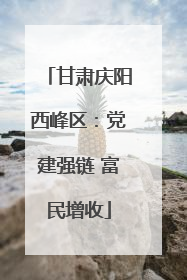 甘肃庆阳西峰区：党建强链 富民增收