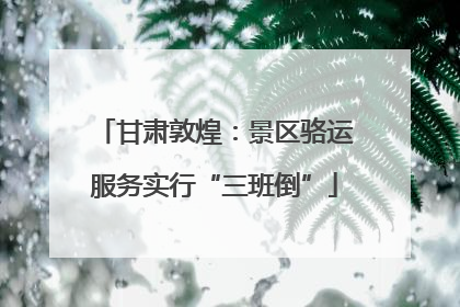 甘肃敦煌：景区骆运服务实行“三班倒”