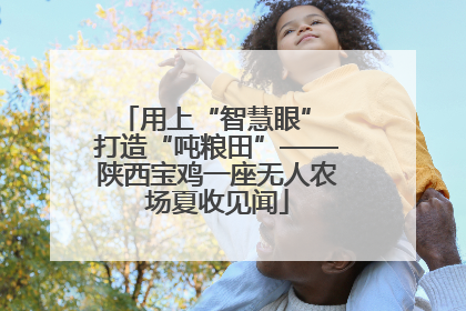 用上“智慧眼” 打造“吨粮田”——陕西宝鸡一座无人农场夏收见闻