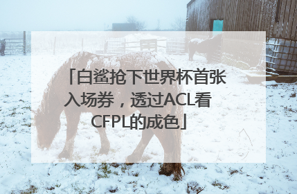 白鲨抢下世界杯首张入场券，透过ACL看CFPL的成色