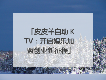 皮皮羊自助 KTV：开启娱乐加盟创业新征程