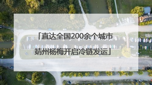 直达全国200余个城市 靖州杨梅开启冷链发运