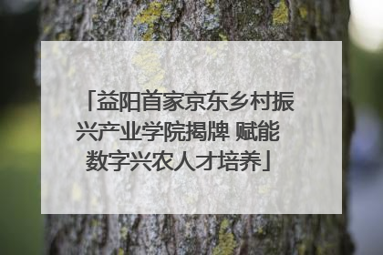 益阳首家京东乡村振兴产业学院揭牌 赋能数字兴农人才培养
