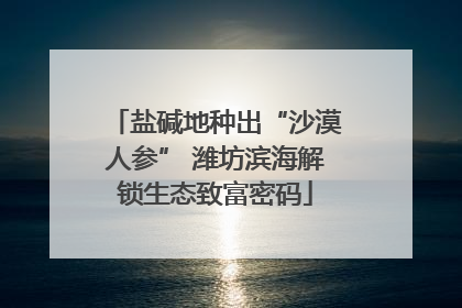 盐碱地种出“沙漠人参” 潍坊滨海解锁生态致富密码