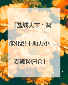 盐城大丰：智能化烘干助力小麦颗粒归仓