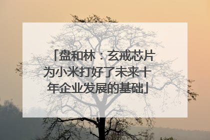 盘和林：玄戒芯片为小米打好了未来十年企业发展的基础