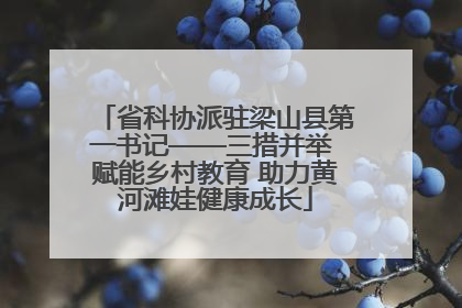 省科协派驻梁山县第一书记——三措并举 赋能乡村教育 助力黄河滩娃健康成长