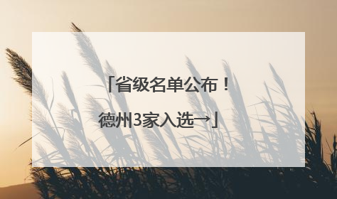 省级名单公布！德州3家入选→