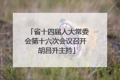 省十四届人大常委会第十六次会议召开 胡昌升主持