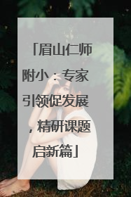 眉山仁师附小：专家引领促发展，精研课题启新篇