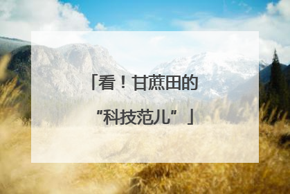 看！甘蔗田的“科技范儿”