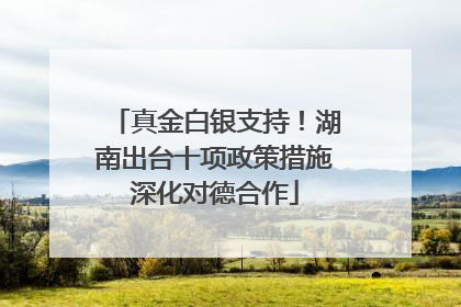 真金白银支持！湖南出台十项政策措施深化对德合作