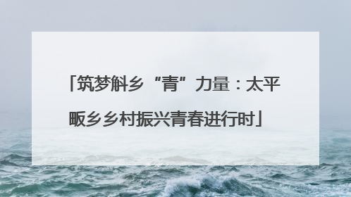 筑梦斛乡“青”力量：太平畈乡乡村振兴青春进行时