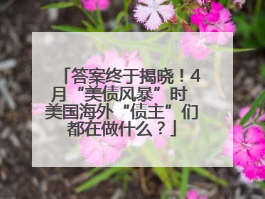 答案终于揭晓！4月“美债风暴”时 美国海外“债主”们都在做什么？