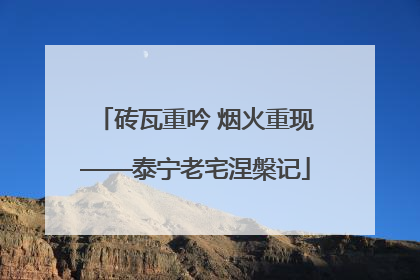 砖瓦重吟 烟火重现——泰宁老宅涅槃记