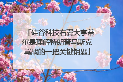 硅谷科技右翼大亨蒂尔是理解特朗普马斯克骂战的一把关键钥匙