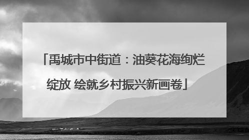 禹城市中街道：油葵花海绚烂绽放 绘就乡村振兴新画卷