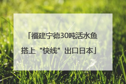 福建宁德30吨活水鱼搭上“快线”出口日本