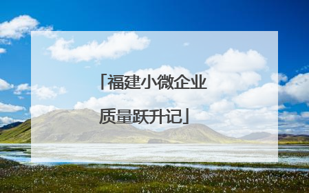 福建小微企业质量跃升记