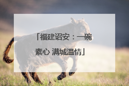 福建诏安：一碗素心 满城温情