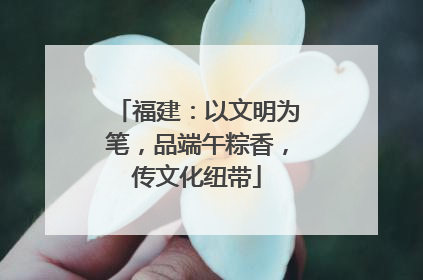 福建：以文明为笔，品端午粽香，传文化纽带