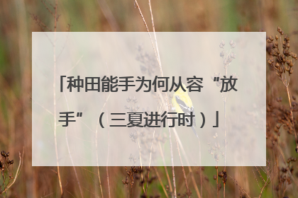种田能手为何从容“放手”（三夏进行时）