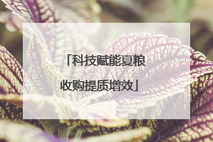 科技赋能夏粮收购提质增效