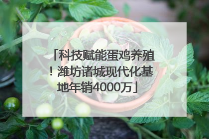 科技赋能蛋鸡养殖！潍坊诸城现代化基地年销4000万