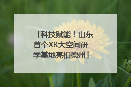 科技赋能！山东首个XR大空间研学基地亮相德州