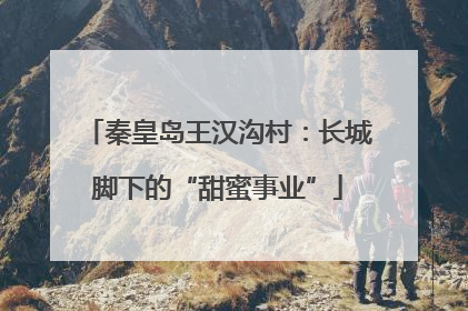 秦皇岛王汉沟村：长城脚下的“甜蜜事业”