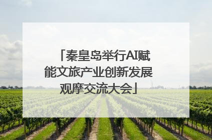 秦皇岛举行AI赋能文旅产业创新发展观摩交流大会