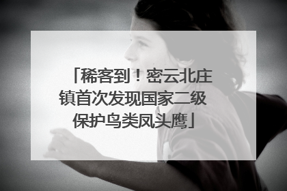 稀客到！密云北庄镇首次发现国家二级保护鸟类凤头鹰