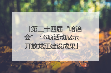 第三十四届“哈洽会”：6项活动展示开放龙江建设成果