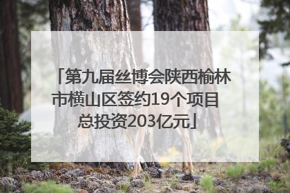 第九届丝博会陕西榆林市横山区签约19个项目 总投资203亿元