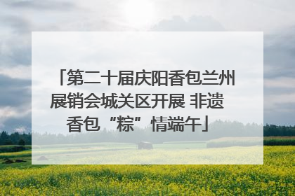 第二十届庆阳香包兰州展销会城关区开展 非遗香包“粽”情端午